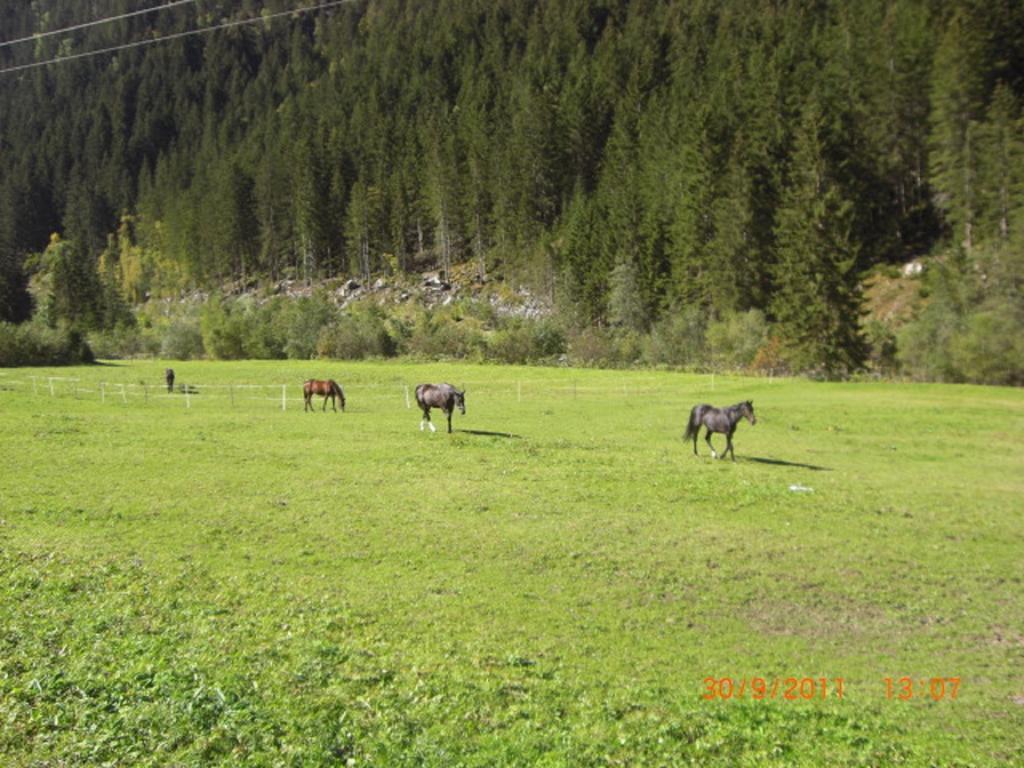 Appartements Fam. Gleinser Mirella Neustift im Stubaital Buitenkant foto